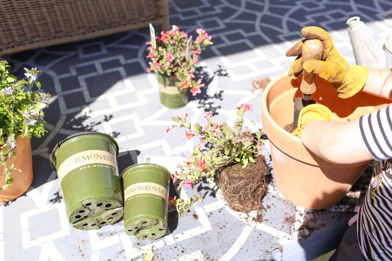 Adding Color To The Farmhouse Front Porch With Plants